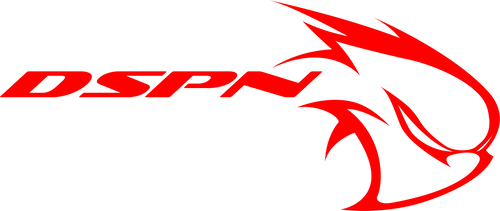 DARKSPIN ASYLUM